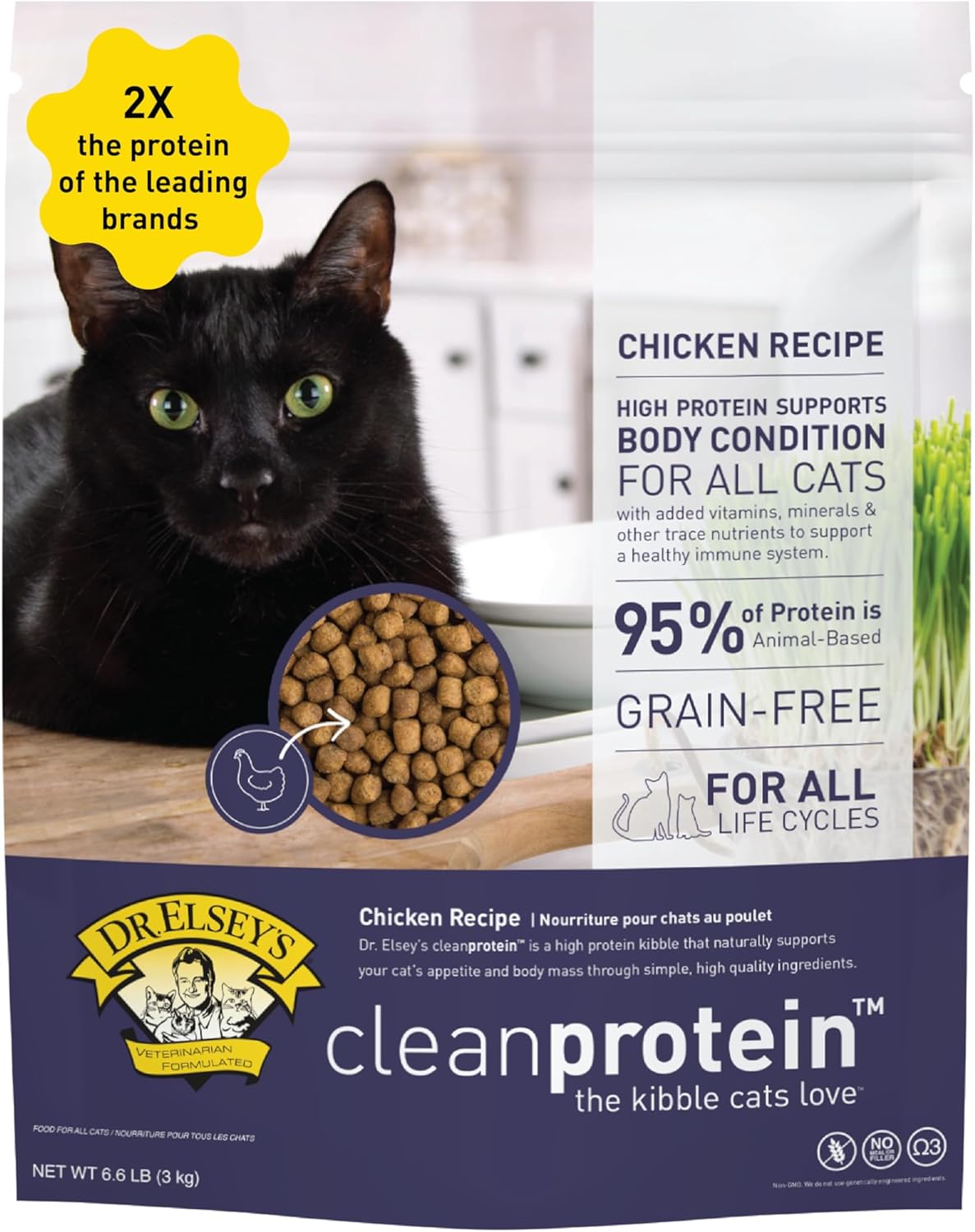 Best Cat Litter 2026: Every Type Tested & Reviewed | CommuniKitty